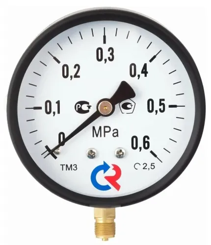 Манометр давления воды Росма ТМ-310Р.00 общетехнический радиальный, механический, из стали, 6бар, 1/4дюйм / измерительные инструменты