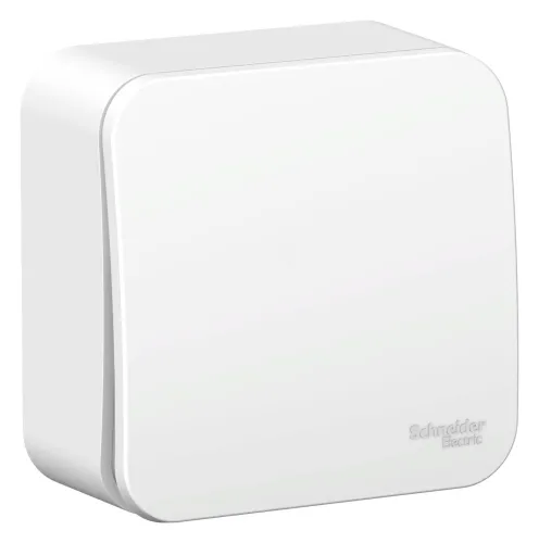 Выключатель Schneider Electric Blanca BLNVA106011 250В 10А IP20