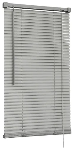 Жалюзи Delfa / Делфа NO.RF-M-001 рулонные, горизонтальные, из пластика и ПВХ, цвет серебро, 160×50см / товары для дома
