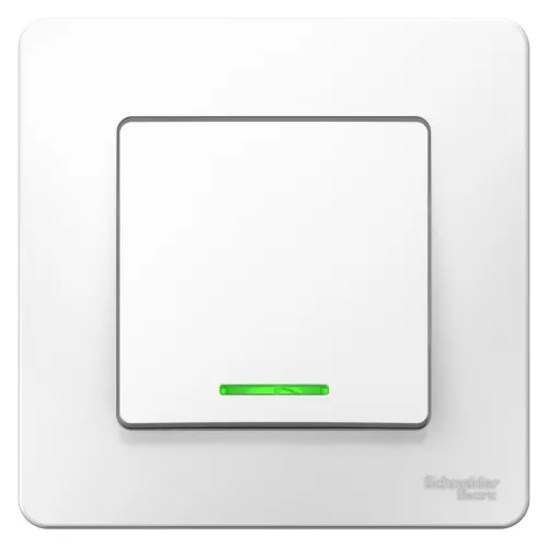 Выключатель Schneider Electric Blanca BLNVS006111, 250В, 6А, IP20