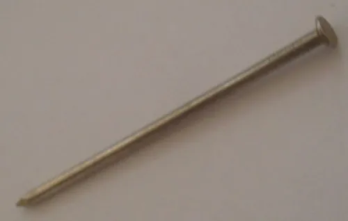 Гвозди строительные MIXTON оцинкованные 2.5×50мм 0.1кг