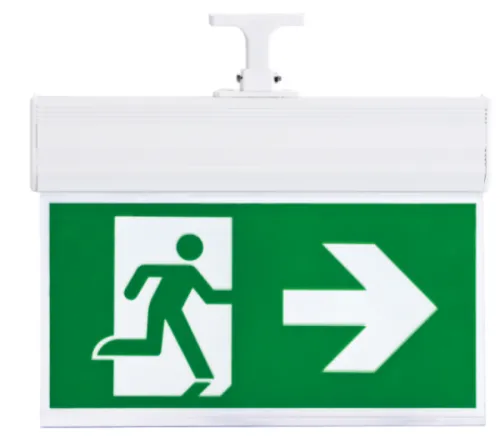 Светильник аварийный ЭРА SSA-103-1-20, 3Вт, 6500К, IP20