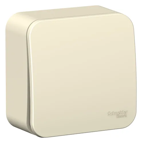 Выключатель Systeme Electric Blanca, 10А 250В IP20, молочный, BLNVA106012