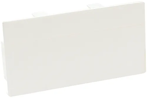 Заглушка SPL торцевая пластиковая белая 100x50мм 100002S