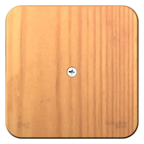 Распределительная коробка Systeme Electric Blanca BLNRK000015