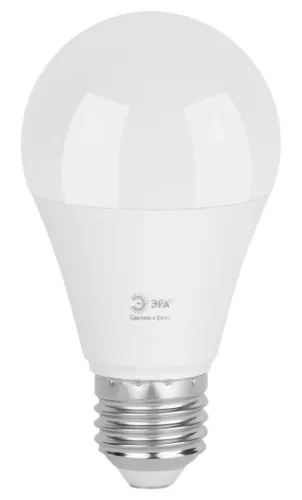 Светодиодная лампа ЭРА Green Line A60-20W-865-E27 GL, 20Вт, 6500К