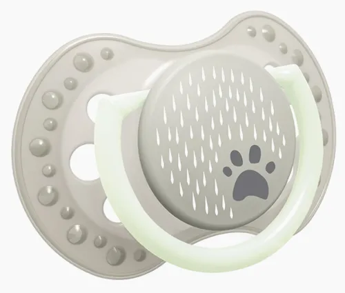 Пустышка для новорожденных Lovi / Лови Buddy Bear от 3-6 месяцев не содержит бисфенол-А силиконовая динамическая в упаковке 2шт. / соска ортодонтическая с футляром для хранения