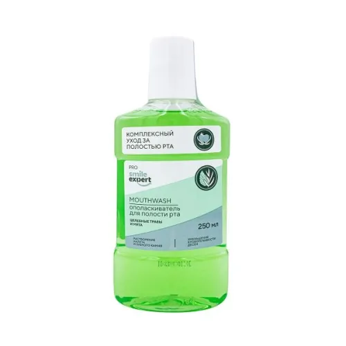 Smile Expert / Смайл Эксперт Ополаскиватель для полости рта комплексный уход целебные травы и мята 250мл / средство для защиты десен