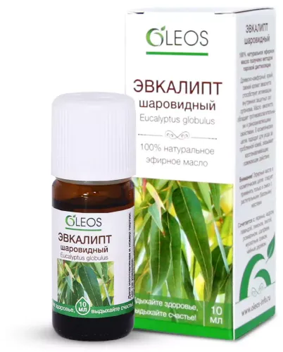 Oleos / Олеос Эфирное масло Эвкалипт шаровидный, натуральный флакон 10мл